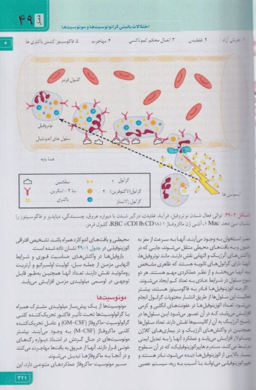 مبانی طب داخلی سسیل 2022 بیماری‌های خون و انکولوژی