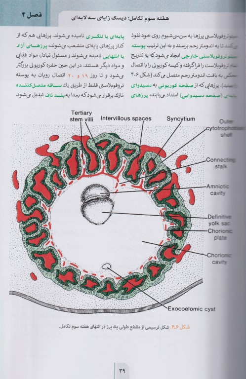 خلاصه GBS جنین‌شناسی پزشکی لانگمن 2024 چاپ رنگی