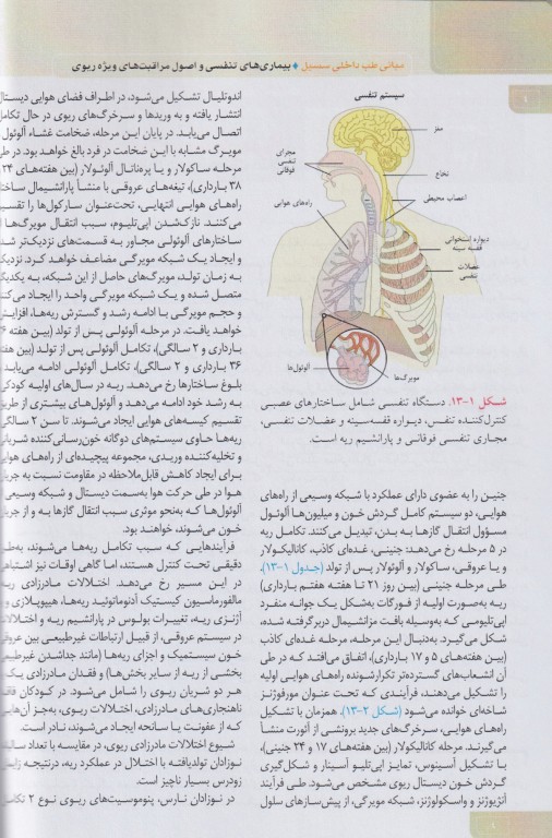مبانی طب داخلی سسیل 2022 بیماری‌های تنفسی و اصول مراقبت‌های ویژه ریوی