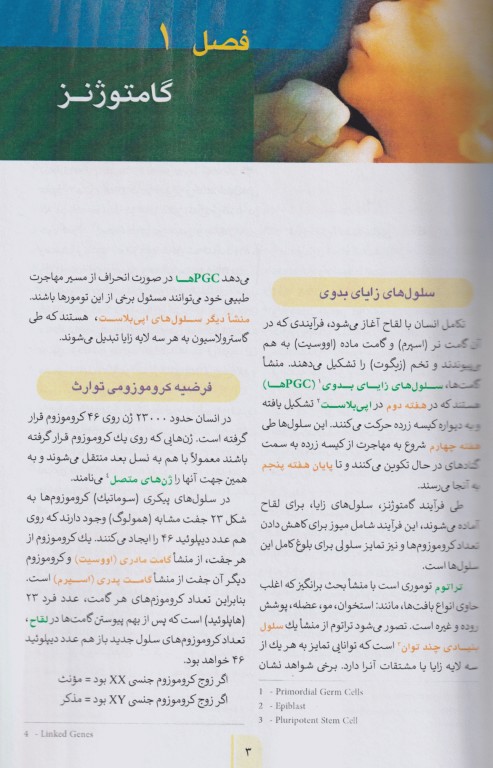 خلاصه GBS جنین‌شناسی پزشکی لانگمن 2024 چاپ رنگی