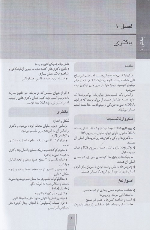 خلاصه GBS میکروب‌شناسی جاوتز چاپ رنگی