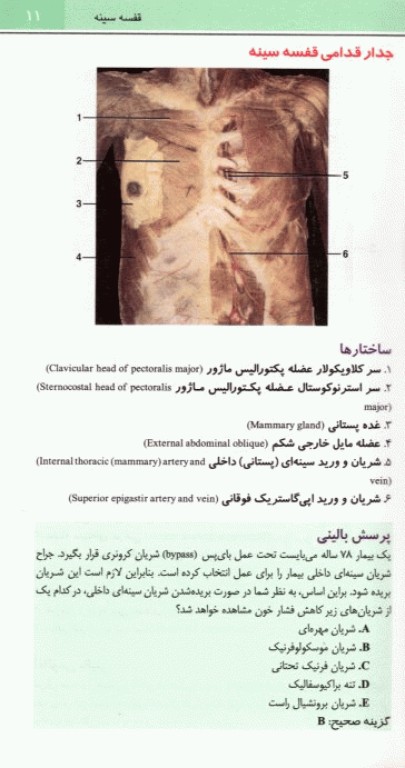 اطلس جیبی آناتومی روهن