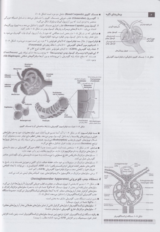 آسان آموز پزشکی abc medicine درس آزمون طب داخلی بیماری‌های کلیه
