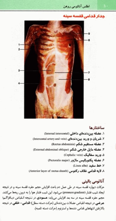 اطلس جیبی آناتومی روهن