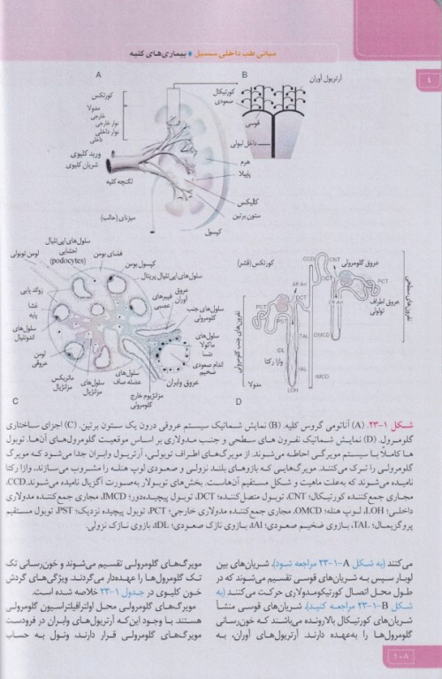 مبانی طب داخلی سسیل 2022 بیماری‌های کلیه