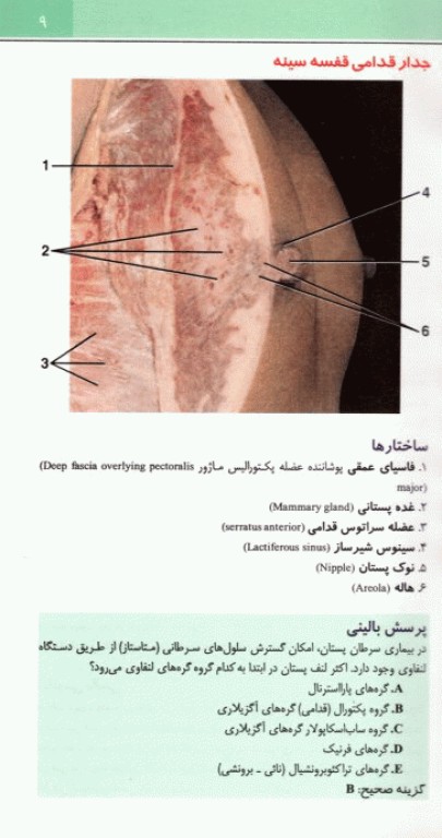 اطلس جیبی آناتومی روهن