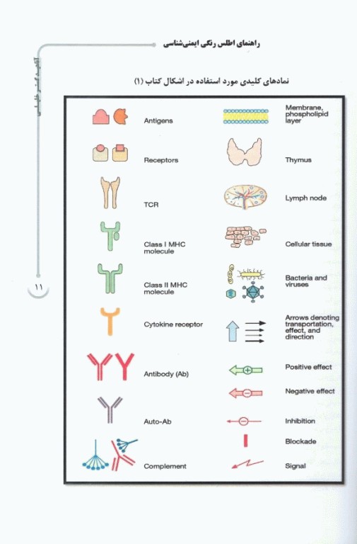راهنمای اطلس رنگی ایمنی‌شناسی