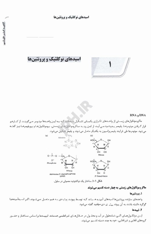 درسنامه AGK سلولی و مولکولی (علوم آزمایشگاهی 3)