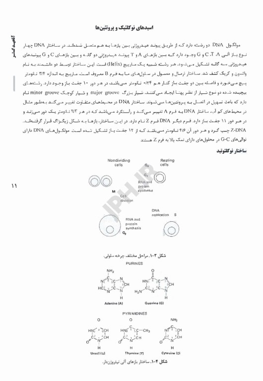 درسنامه AGK سلولی و مولکولی (علوم آزمایشگاهی 3)