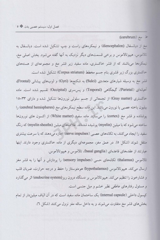 نحوه شرح حال و معاینه فیزیکی دستگاه عصبی همراه با نوروآناتومی