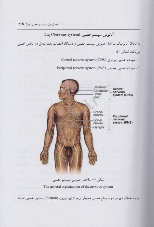 نحوه شرح حال و معاینه فیزیکی دستگاه عصبی همراه با نوروآناتومی