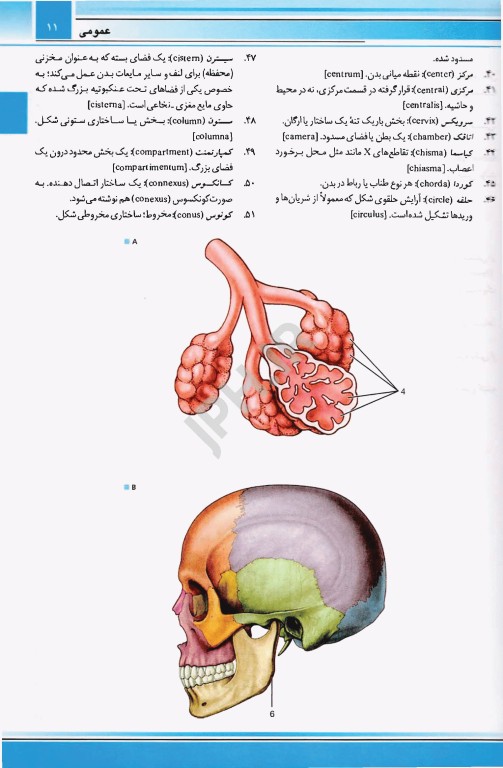 اطلس توصیفی آناتومی دورلند گری