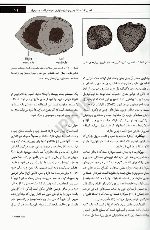 پرستاری مراقبت‌های ویژه قلب و عروق تلان