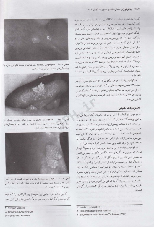 پاتولوژی دهان، فک و صورت نویل 2009 جلد دوم