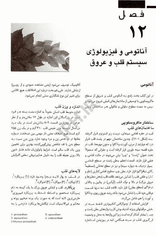 پرستاری مراقبت‌های ویژه قلب و عروق تلان