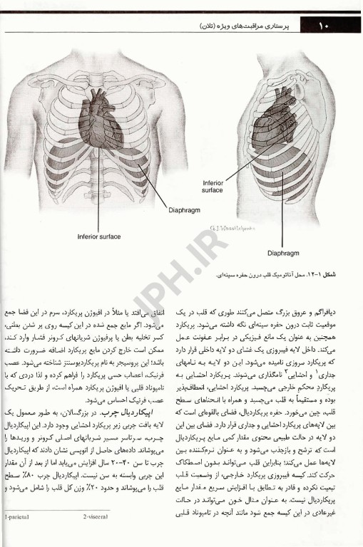 پرستاری مراقبت‌های ویژه قلب و عروق تلان