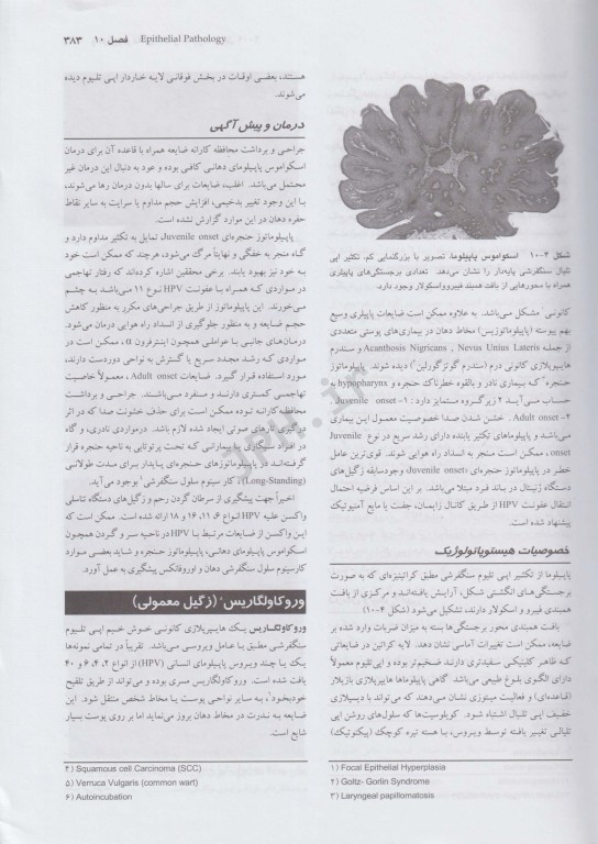 پاتولوژی دهان، فک و صورت نویل 2009 جلد دوم