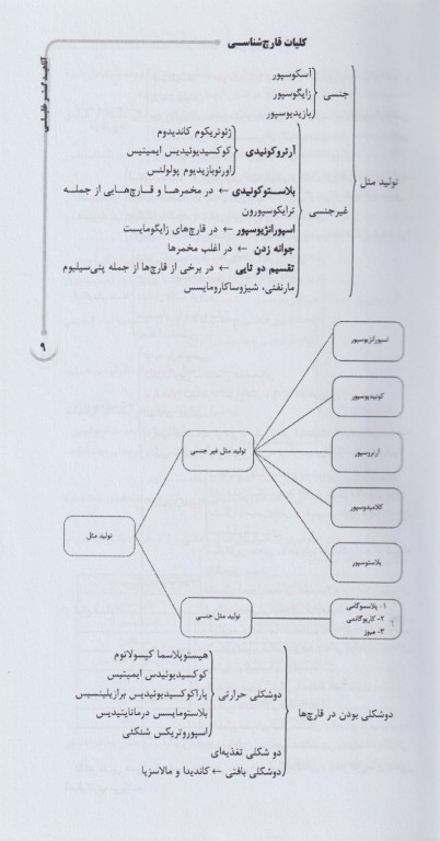 AGK الگوریتم قارچ‌شناسی