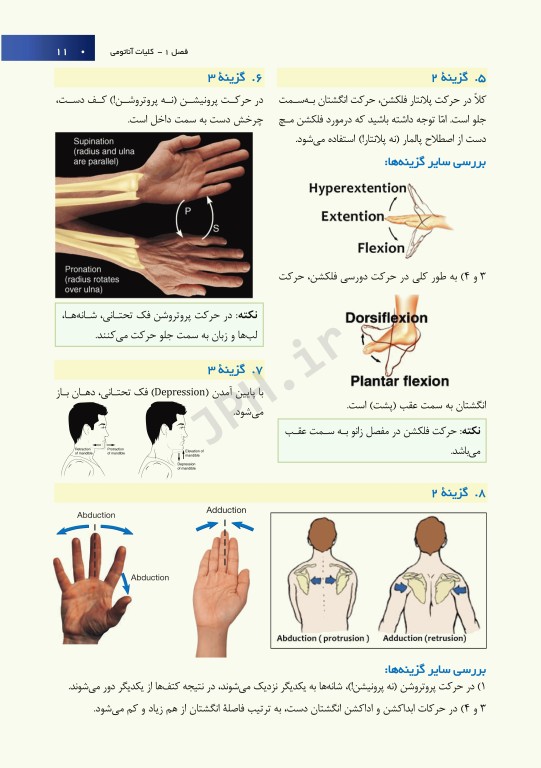 آزمون آناتومی