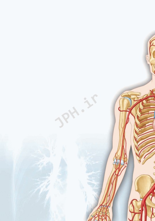 آزمون آناتومی