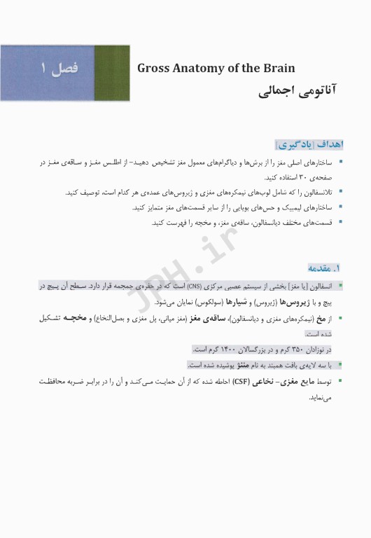 نوروآناتومی (BRS) ویراست ششم 2020