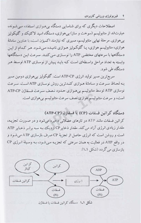 فیزیولوژی ورزشی کاربردی