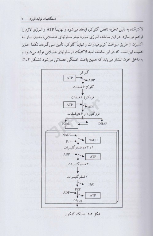 فیزیولوژی ورزشی کاربردی