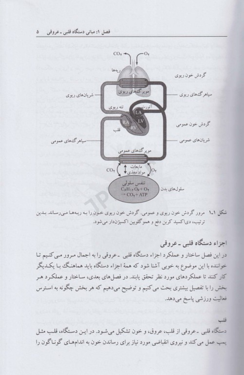 فیزیولوژی ورزشی قلبی_عروقی پیشرفته