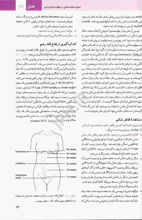 مهارتهای بالینی مامایی گلبان