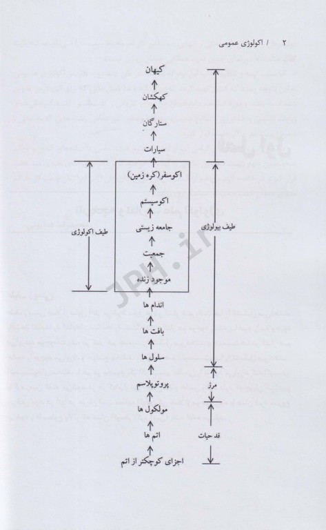 اکولوژی عمومی