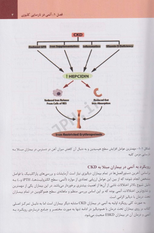 برخورد با بیماری‌های شایع در دیالیز همراه با بررسی 20 بیمار