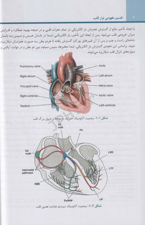 تفسیر مفهومی نوار قلب ویراست دوم