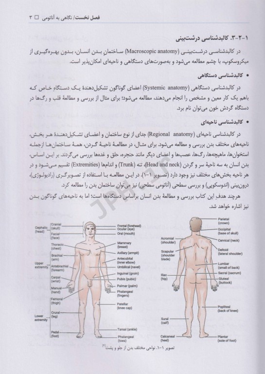 کالبدشناسی عمومی دکتر مصباح اردکانی