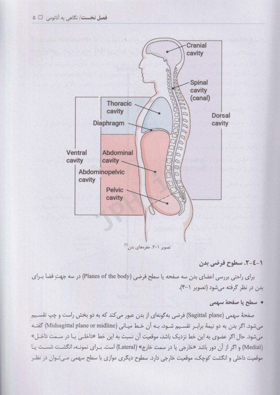 کالبدشناسی عمومی دکتر مصباح اردکانی