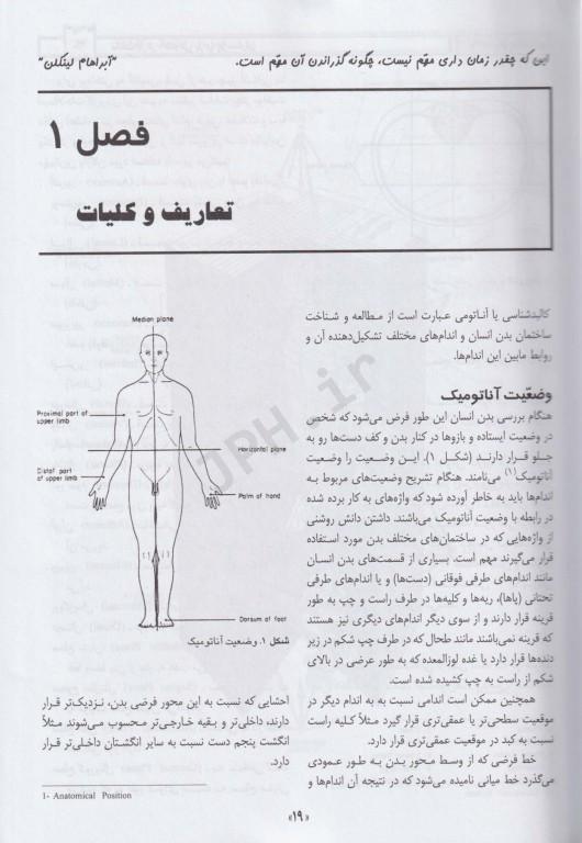 نکات برتر آناتومی برای پرستار