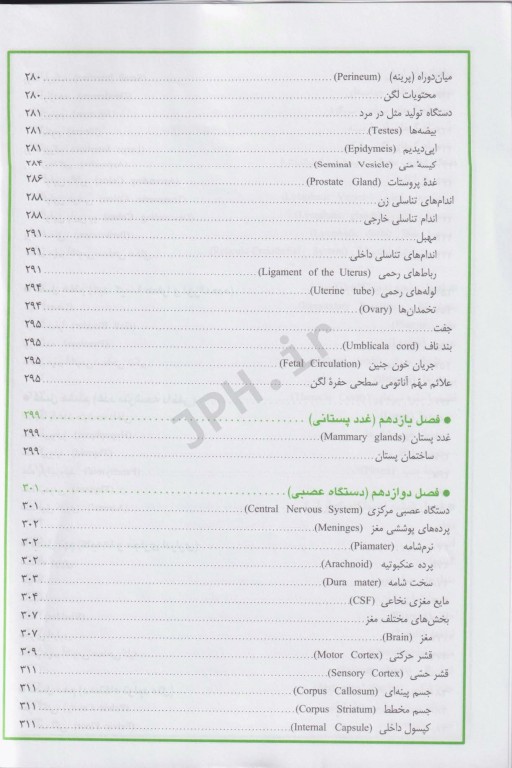 نکات برتر آناتومی برای پرستار