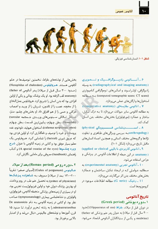 آناتومی عمومی برگرفته از اسنل، گری، چوراسیا، مور، نتر و زوبوتا