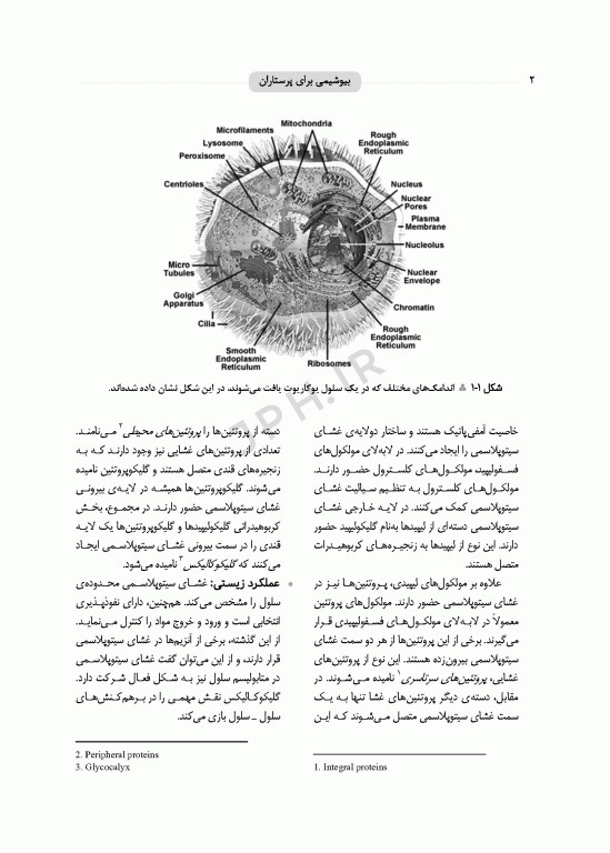 بیوشیمی برای پرستاران دکتر حافظ حیدری ویراست چهارم