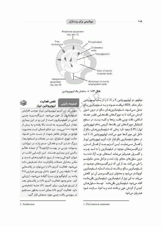 بیوشیمی برای پرستاران دکتر حافظ حیدری ویراست چهارم
