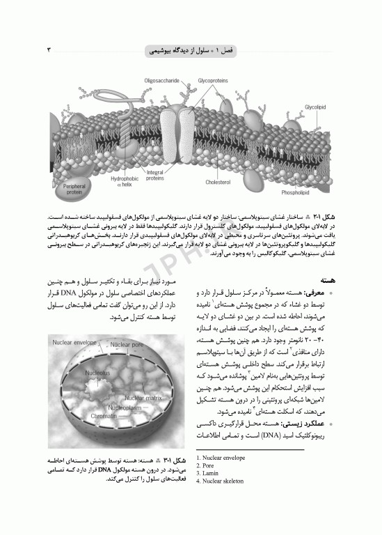 بیوشیمی برای پرستاران دکتر حافظ حیدری ویراست چهارم