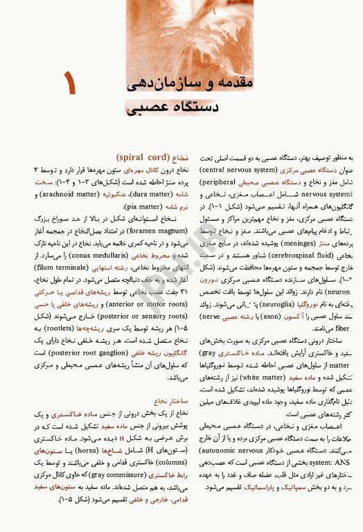 مرجع خلاصه QR نوروآناتومی بالینی اسنل 2019