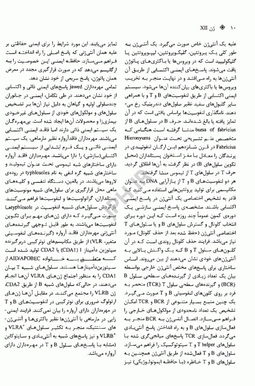 ژن 12 جلد دوم