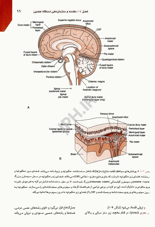 مرجع خلاصه QR نوروآناتومی بالینی اسنل 2019