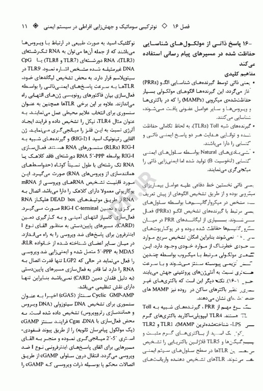 ژن 12 جلد دوم