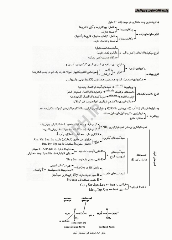 چکیده نکات سلولی مولکولی لودیش 2021 تالیف منصور عرب