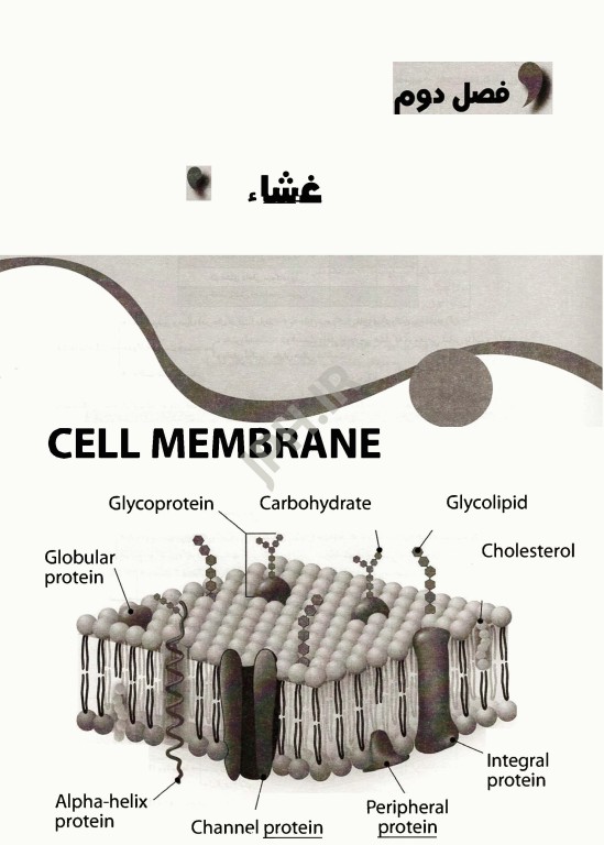 چکیده نکات سلولی مولکولی لودیش 2021 تالیف منصور عرب