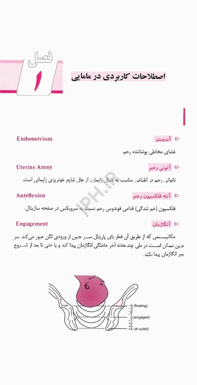 بیهوشی و بیماری‌های همراه کواگزیست 2022 جلد اول