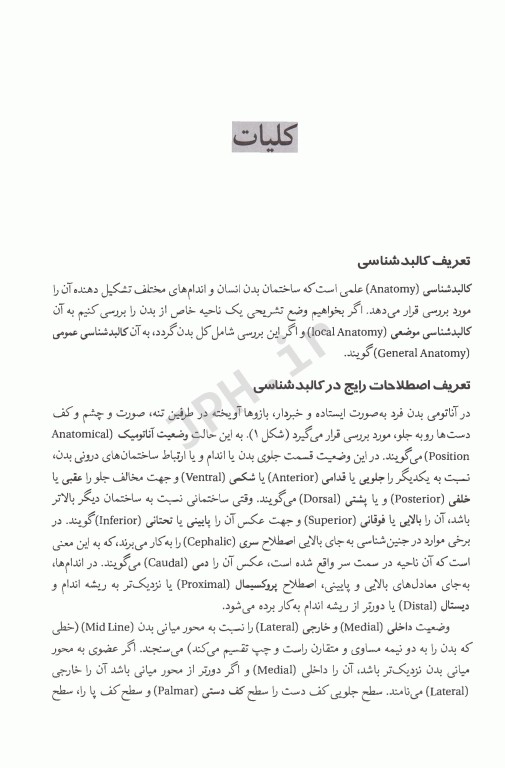 آناتومی عمومی دکتر موثقی