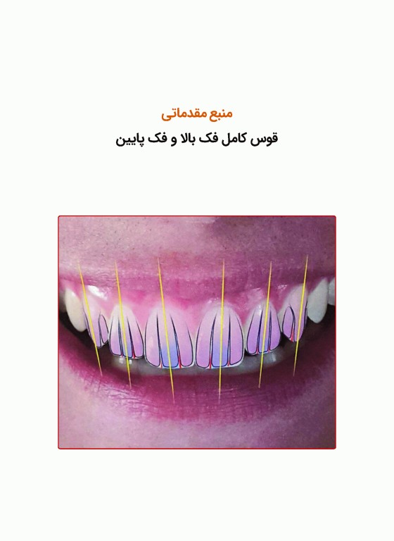 آناتومی دندان‌های قدامی و علم لبخند طبیعی