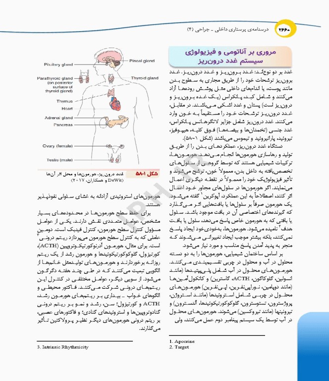 درسنامه‌ی پرستاری داخلی جراحی بزرگسالان و سالمندان جلد4